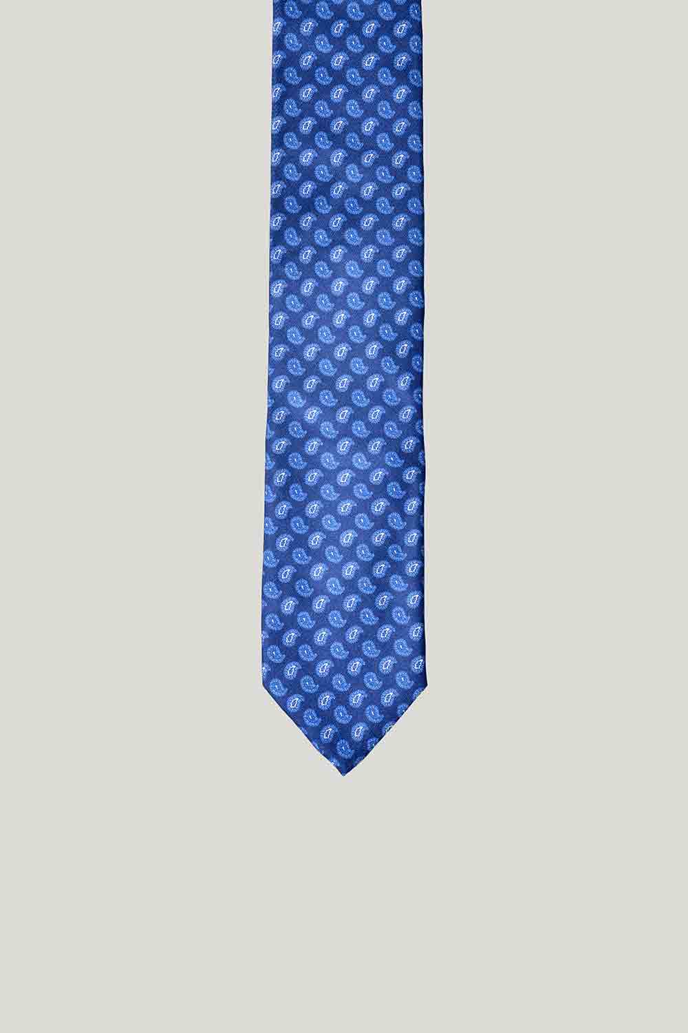 Blue Paisley Woven Silk Tie - Senszio