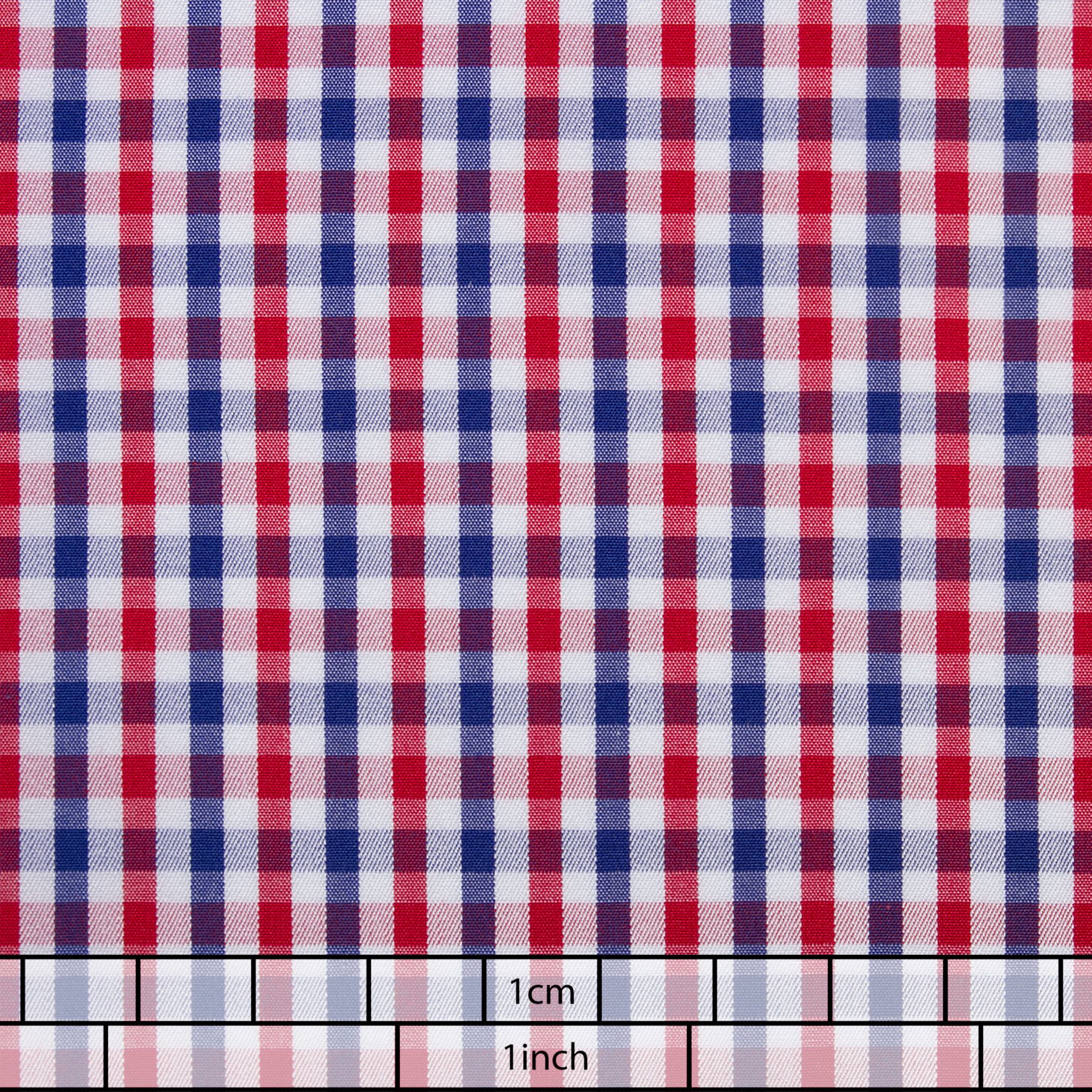 Red and Blue Gingham Senszio