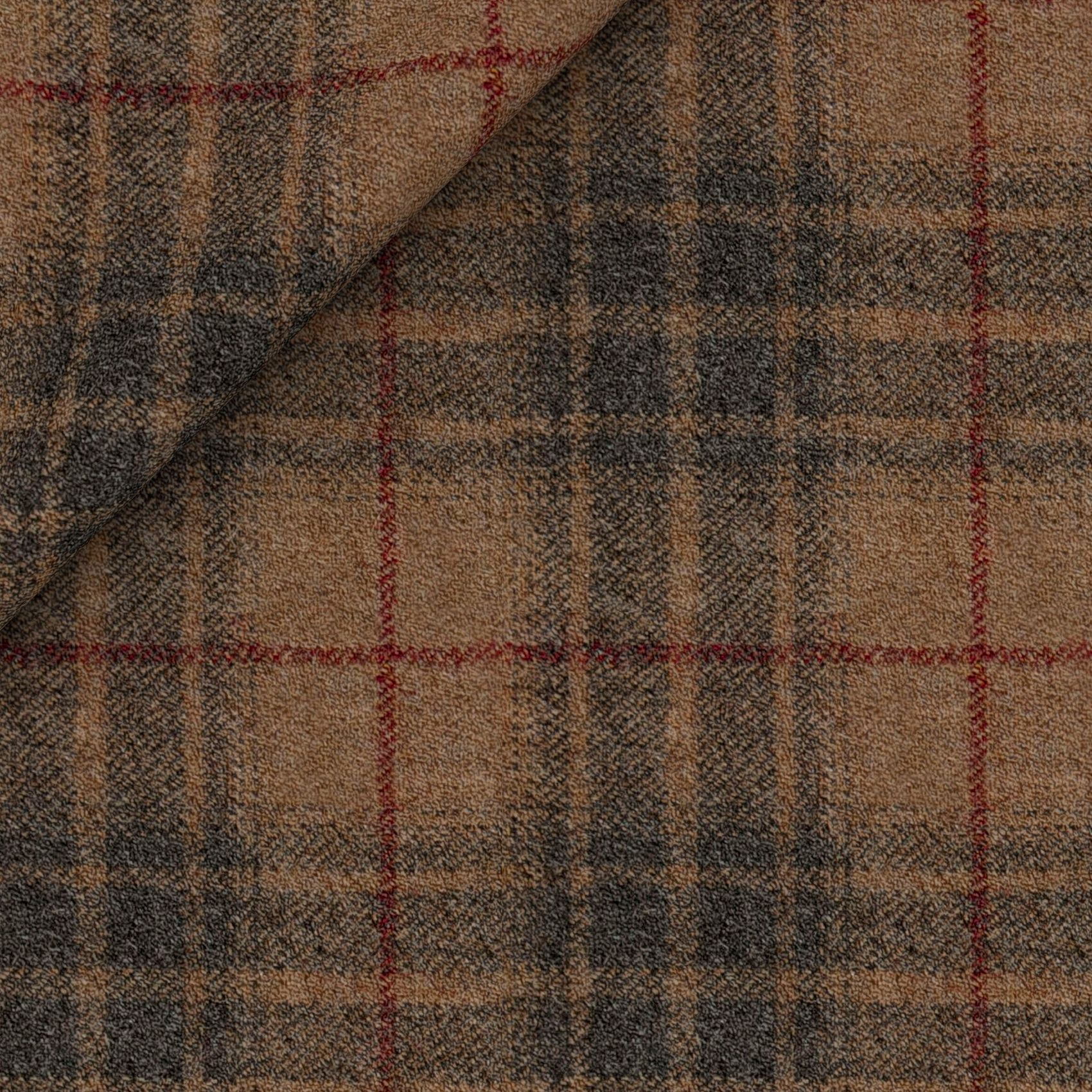 SZ142006-2-1.jpg