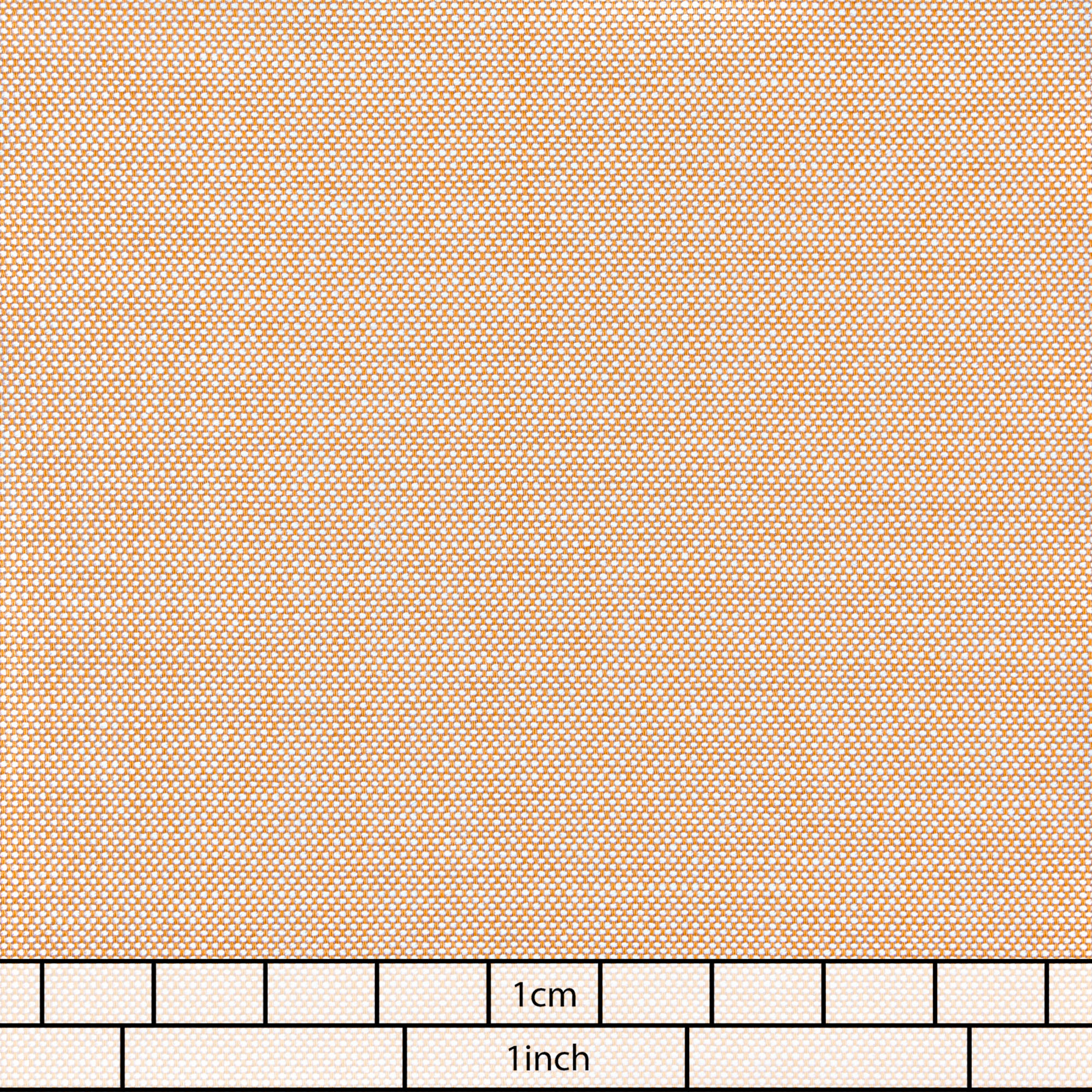 SZ141687-3.jpg