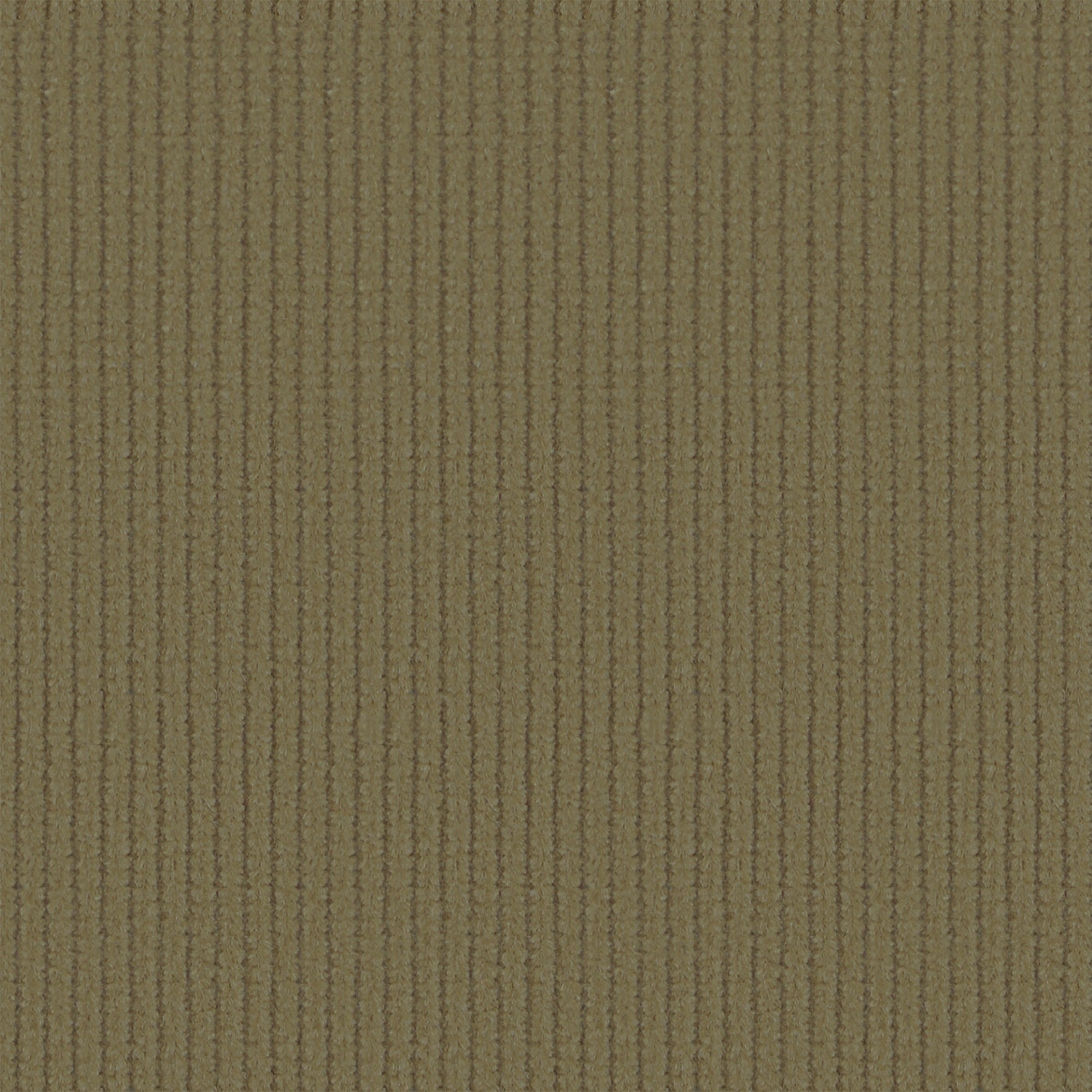 SZ213010-1